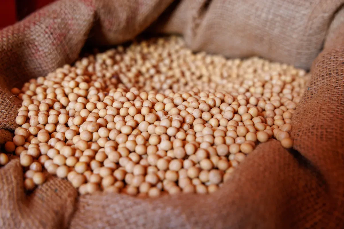 Preços agropecuários avançam 3,45% em agosto, aponta índice do Cepea