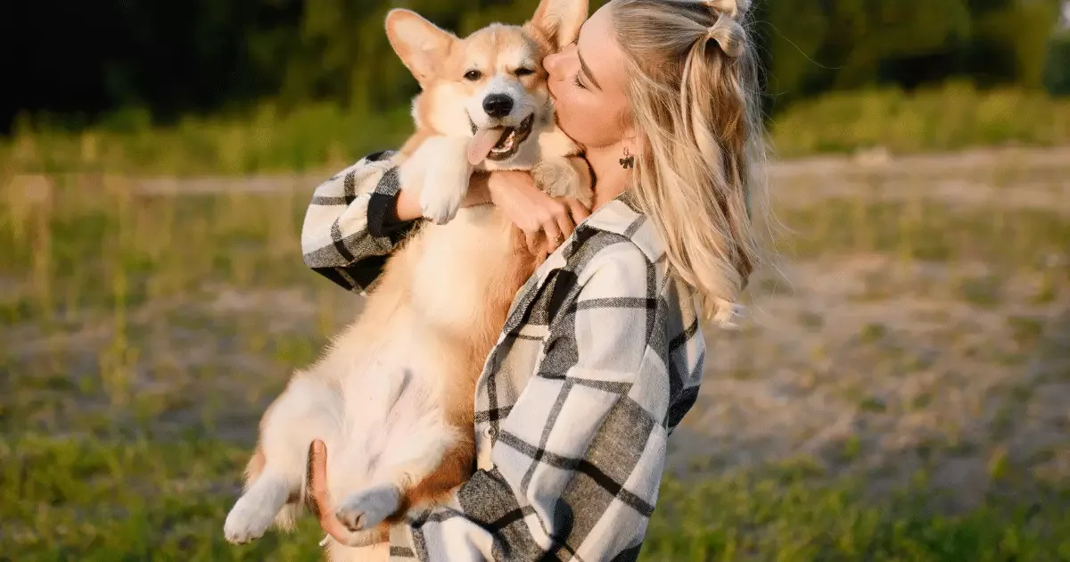 Seis comportamentos que podem indicar pedido de carinho do cachorro
