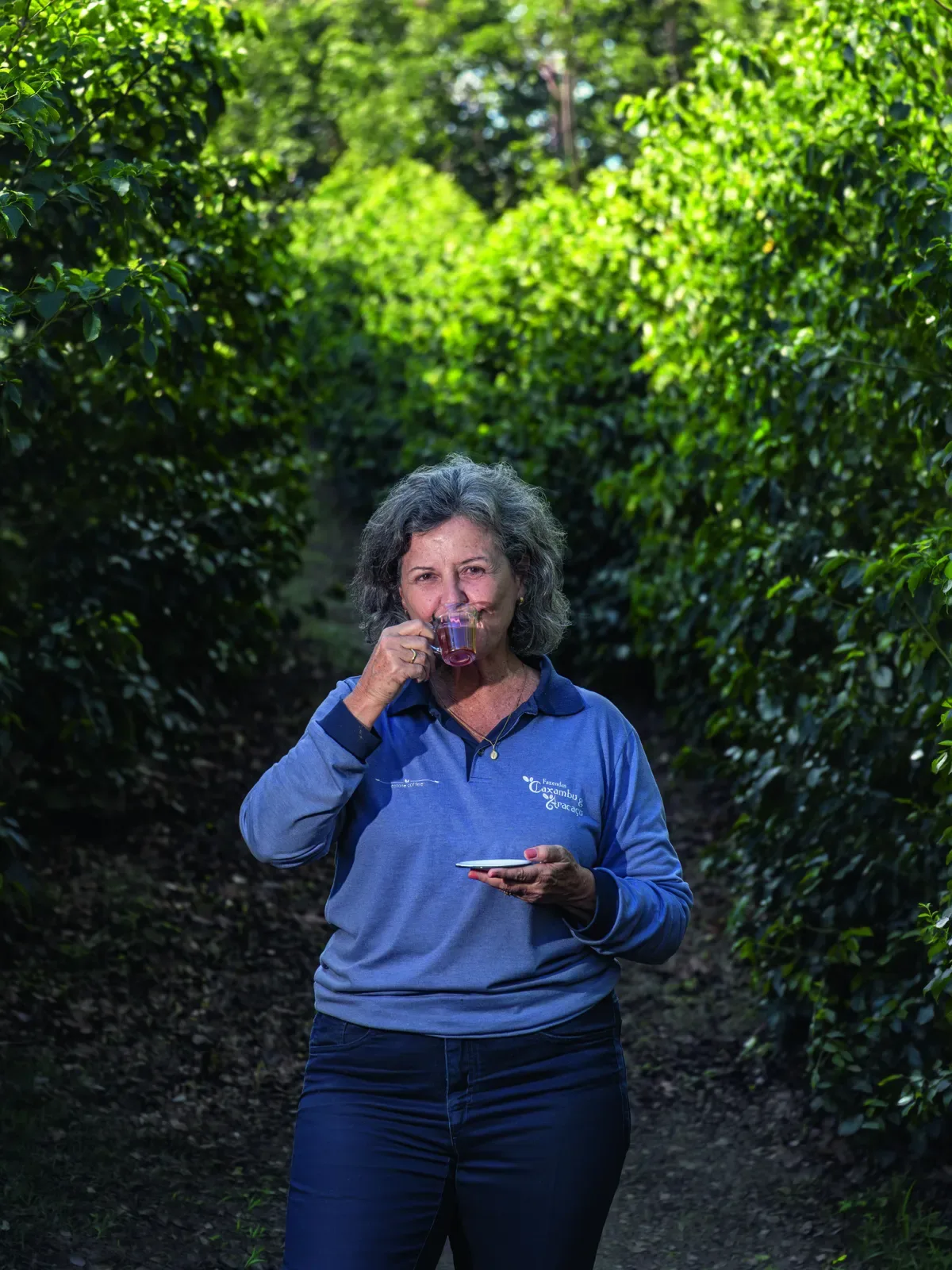 Fazendas de Três Pontas unem cafés especiais, recuperação ambiental e sucessão familiar
