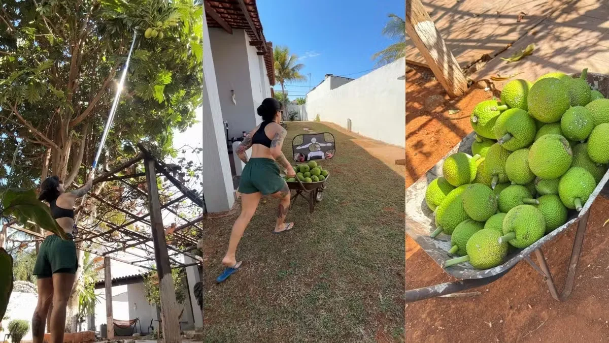 Quintal transforma excedentes de alimentos em oportunidades de troca e doação