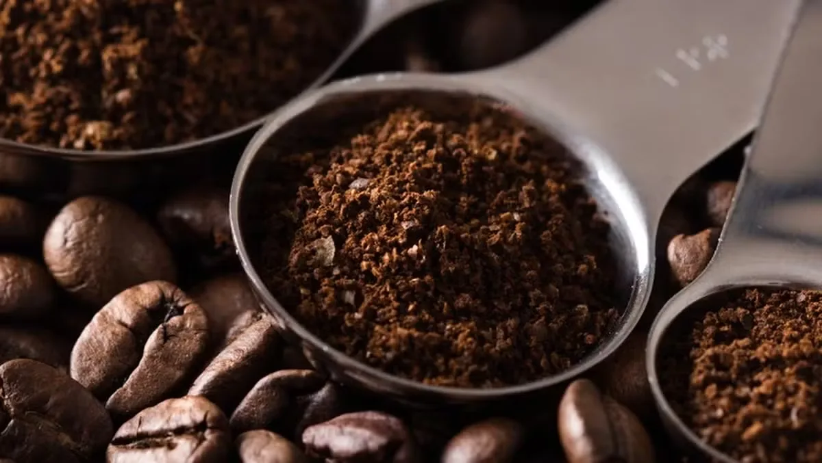 Abic projeta consumo brasileiro de café em 21,9 milhões de sacas em 2026