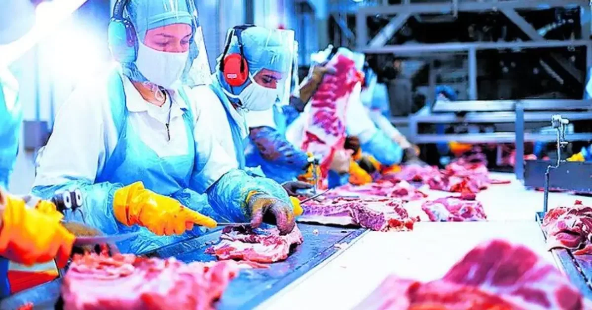Brasil poderá vender rim, fígado e estômago suínos à China
