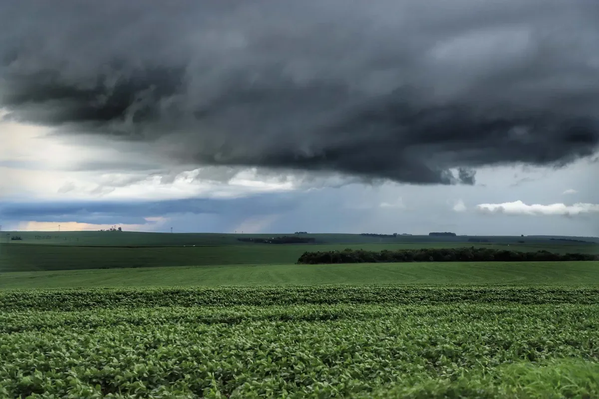 Ministério da Agricultura criará núcleo para acompanhar eventos climáticos