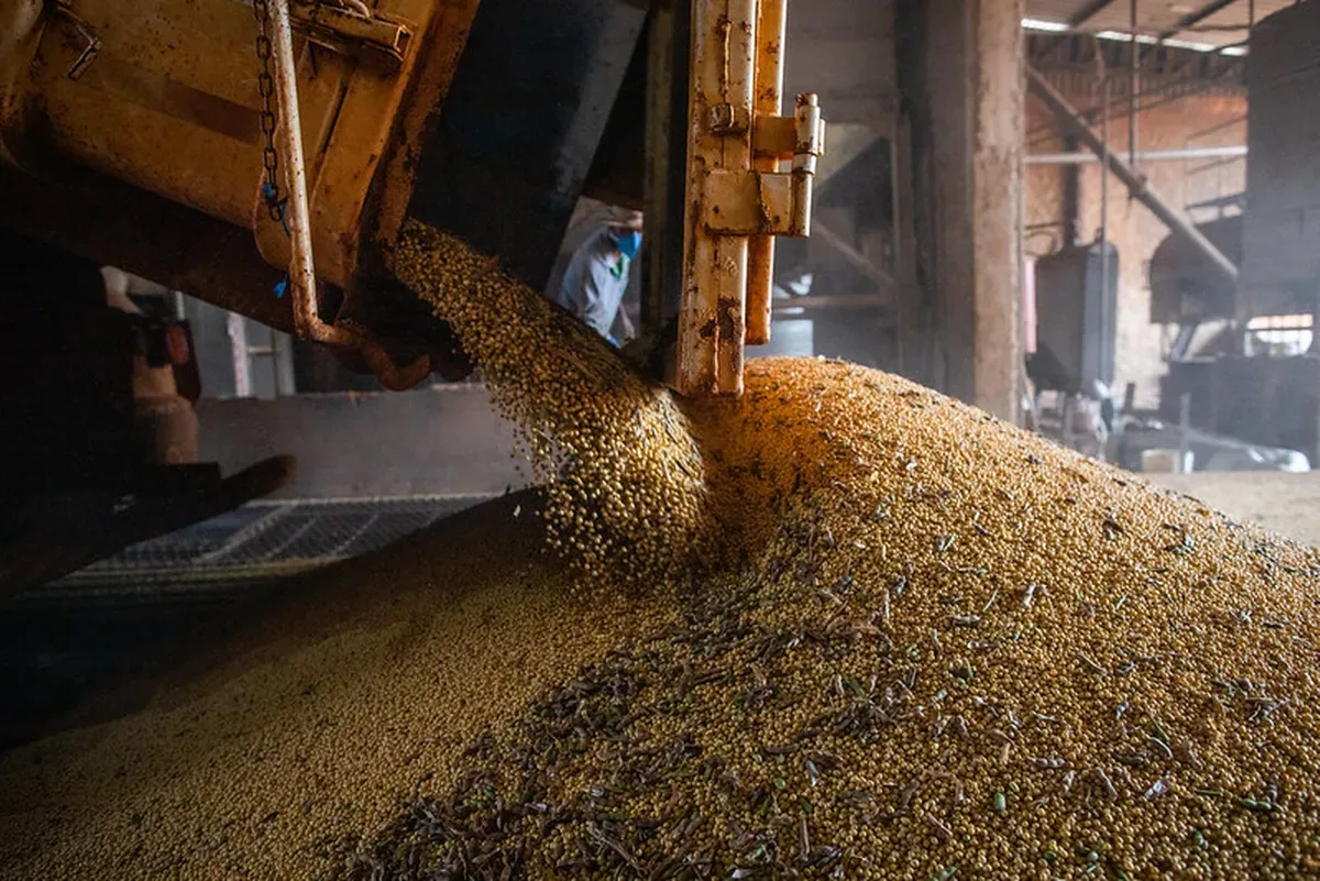 Escassez nos portos pode limitar queda da soja no mercado brasileiro