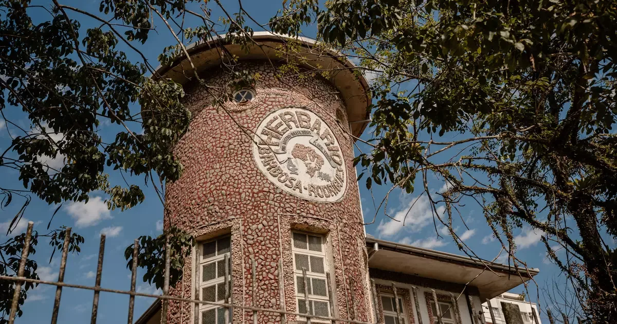 Herbário de Santa Catarina identifica seis espécies de plantas sem registro científico