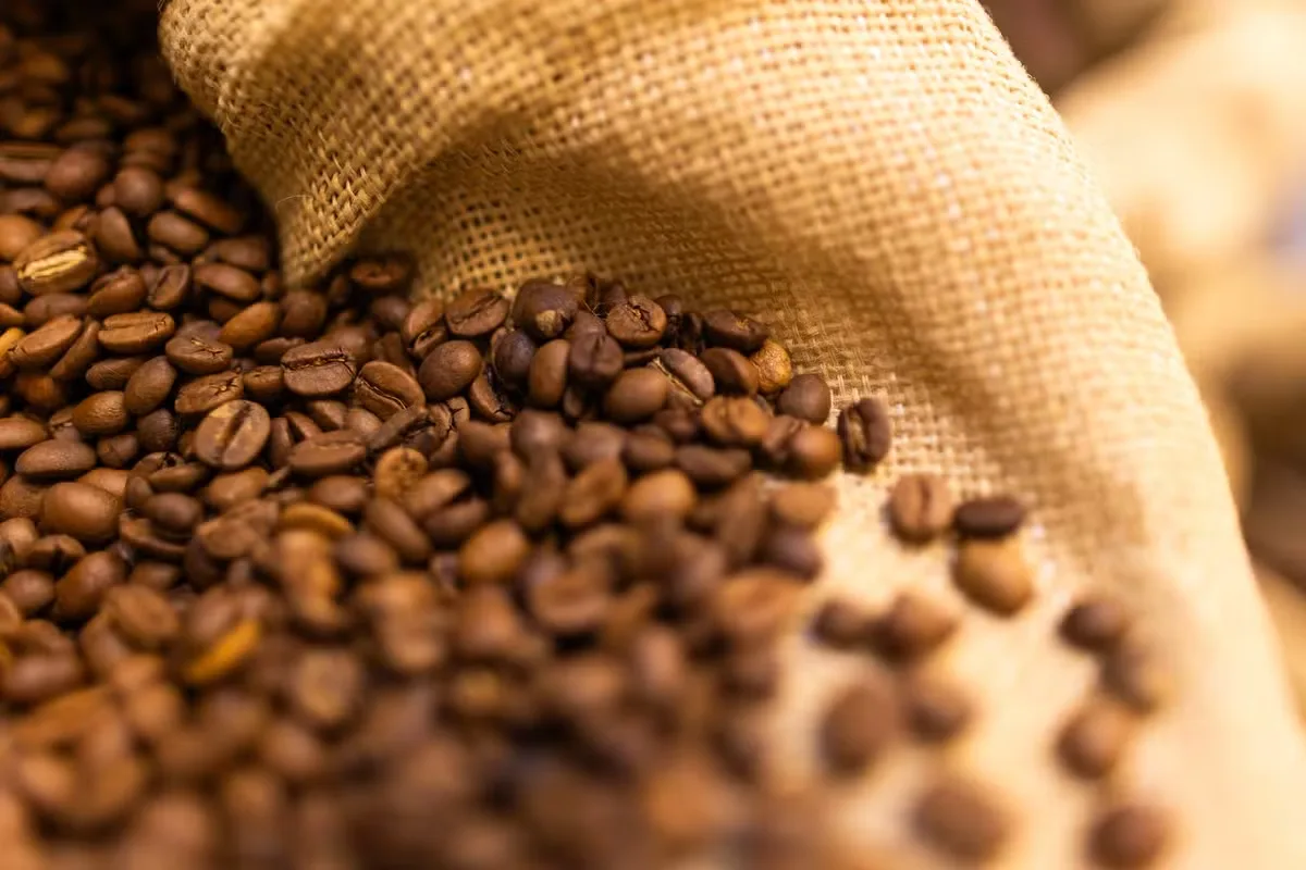 Café fecha em alta em Nova York após mínima de três meses