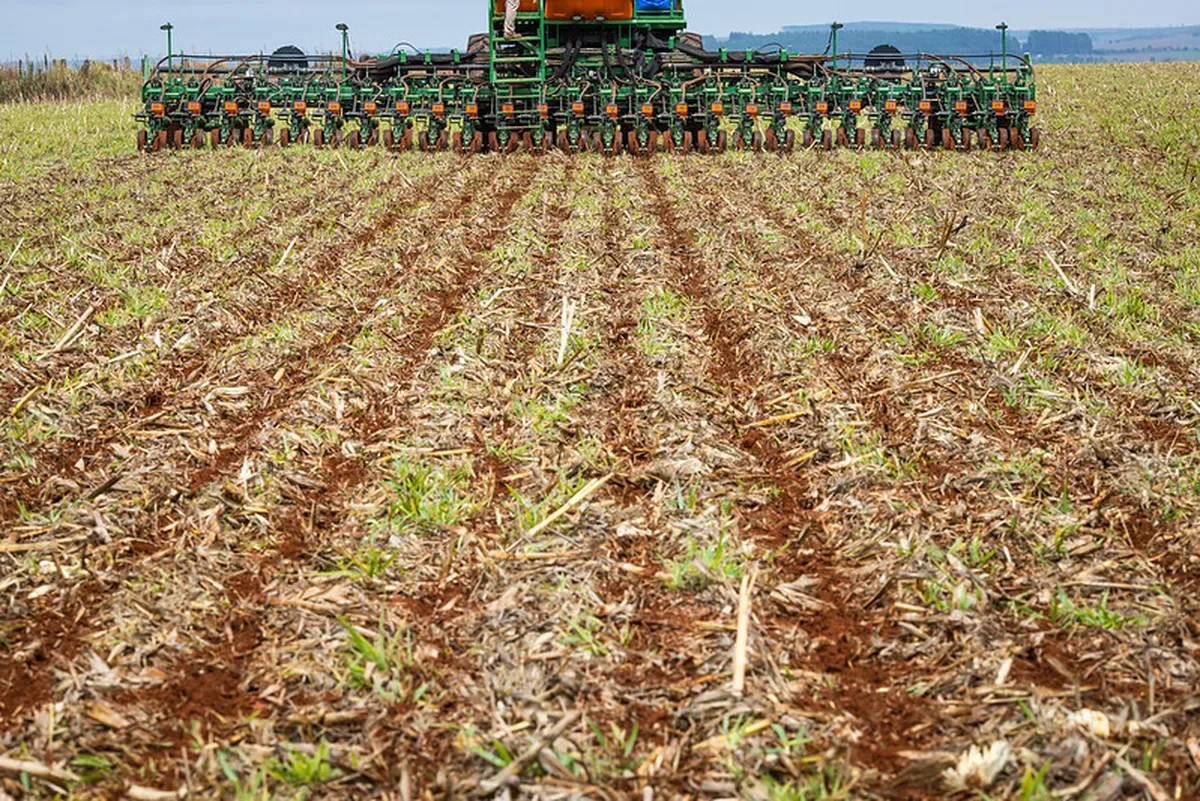 Chuvas definem avanço do plantio de soja em Mato Grosso