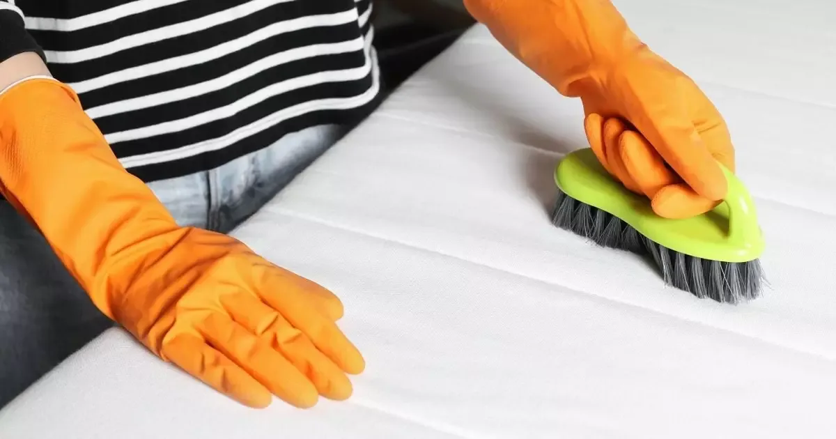 Mistura caseira é indicada para remover manchas e odores de colchões