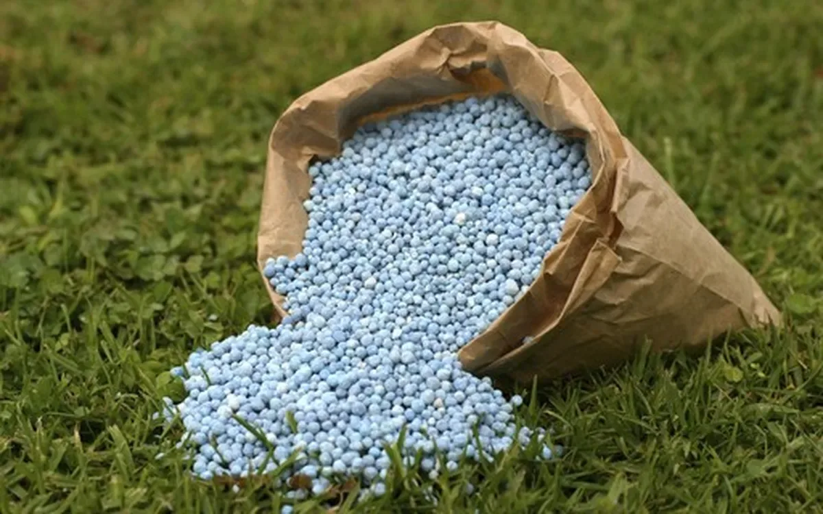 Yara alerta que menor uso de fertilizantes pode reduzir produtividade agrícola