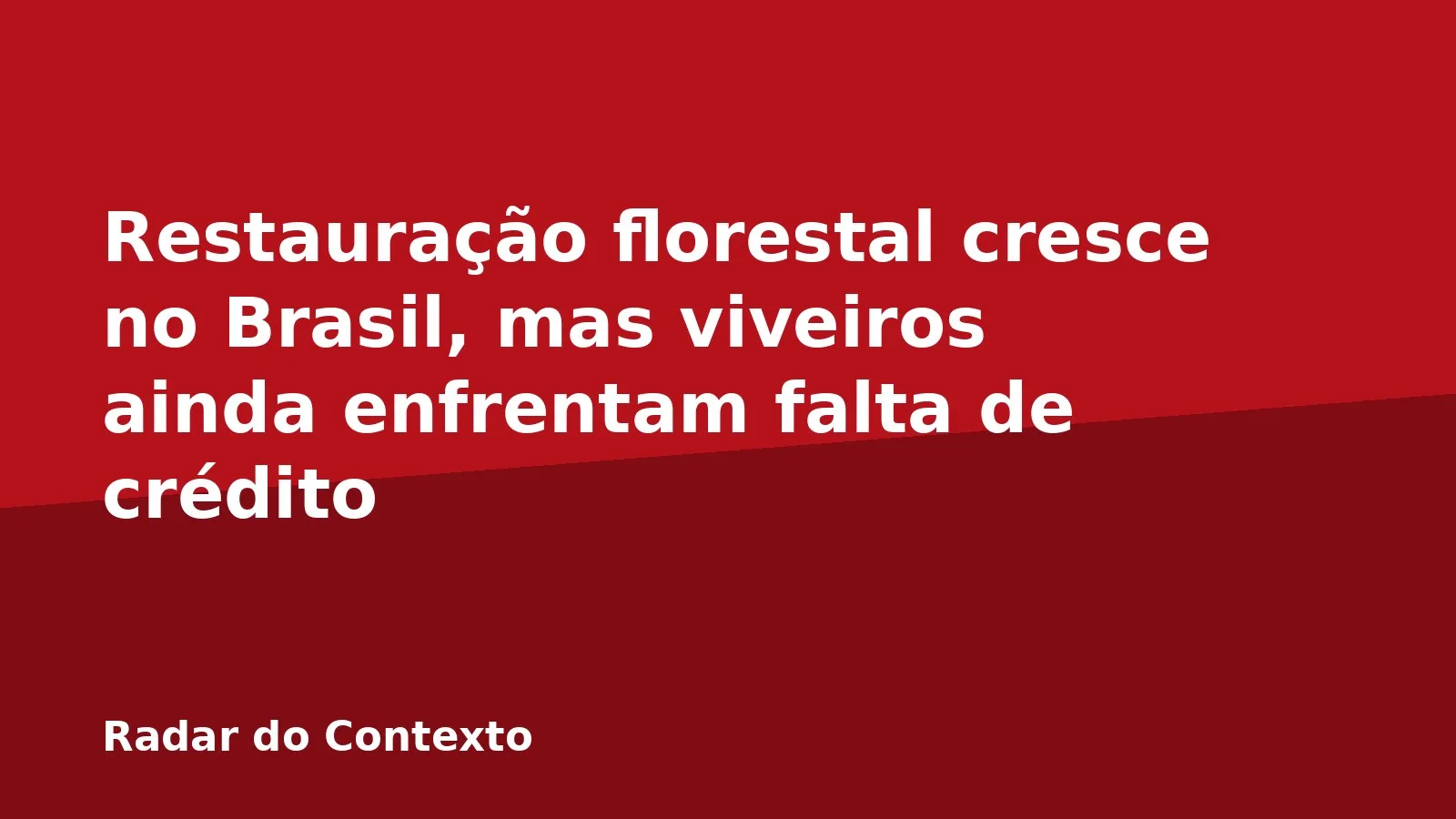 Restauração florestal cresce no Brasil, mas viveiros ainda enfrentam falta de crédito