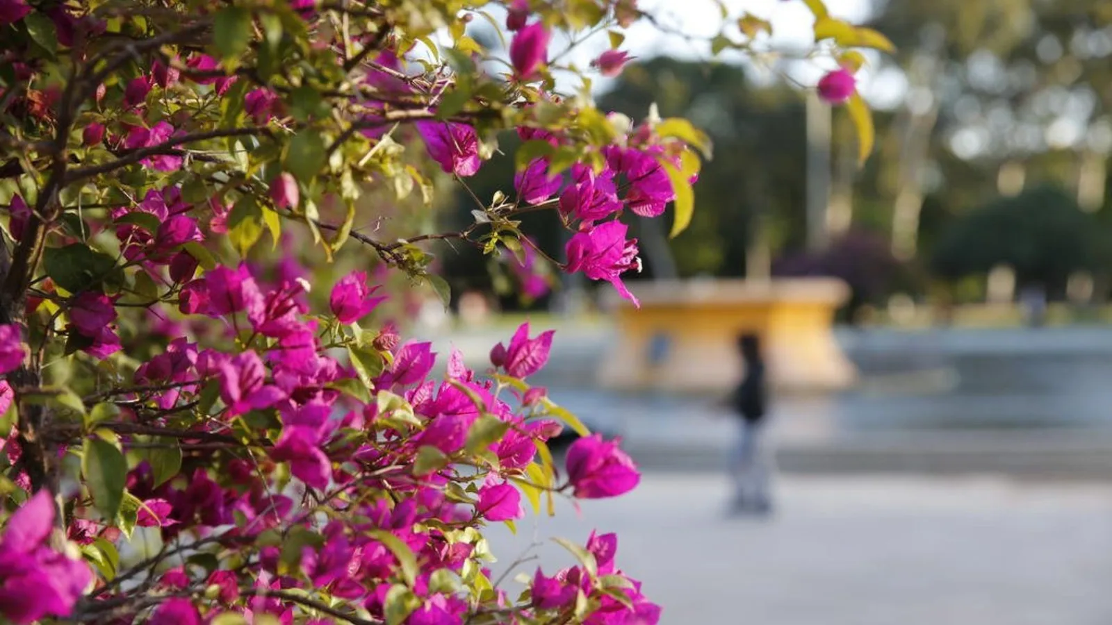 Primavera começa com temperaturas abaixo de zero no Rio Grande do Sul