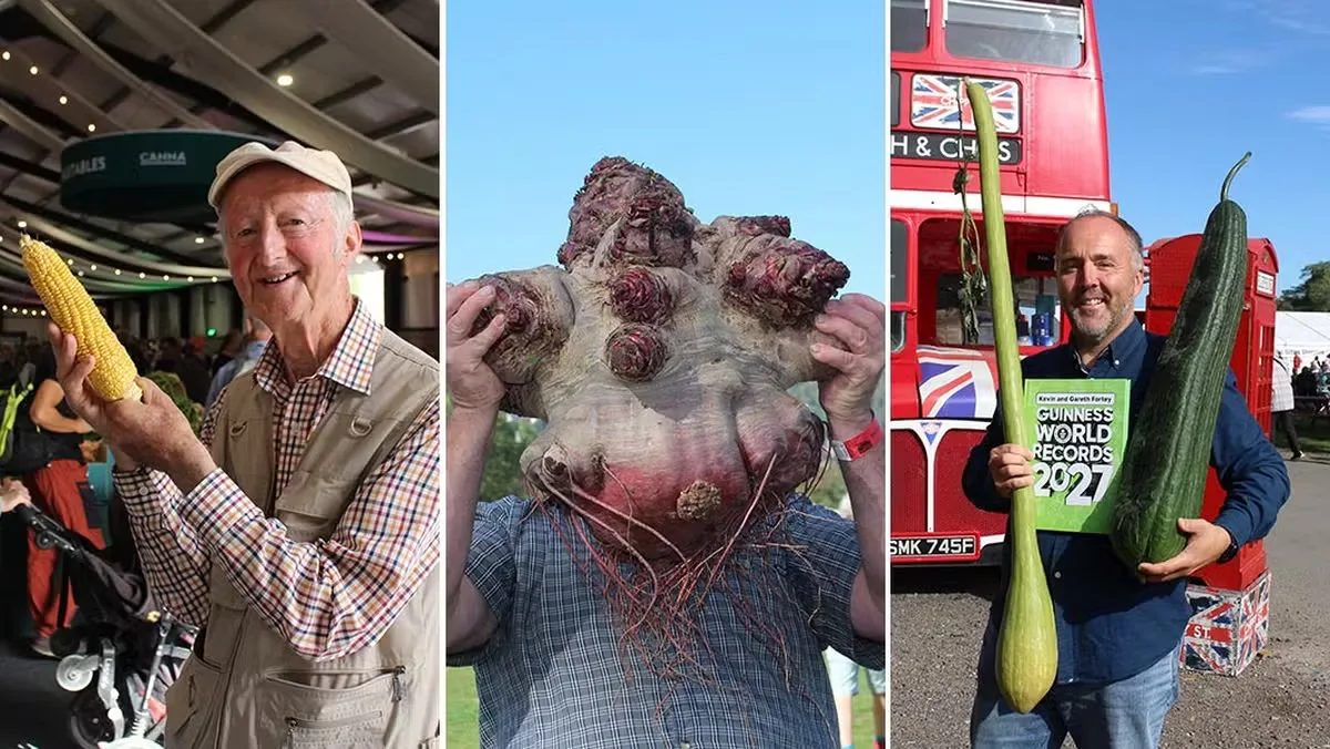 Cultivo de hortaliças gigantes estabelece sete marcas mundiais na Inglaterra
