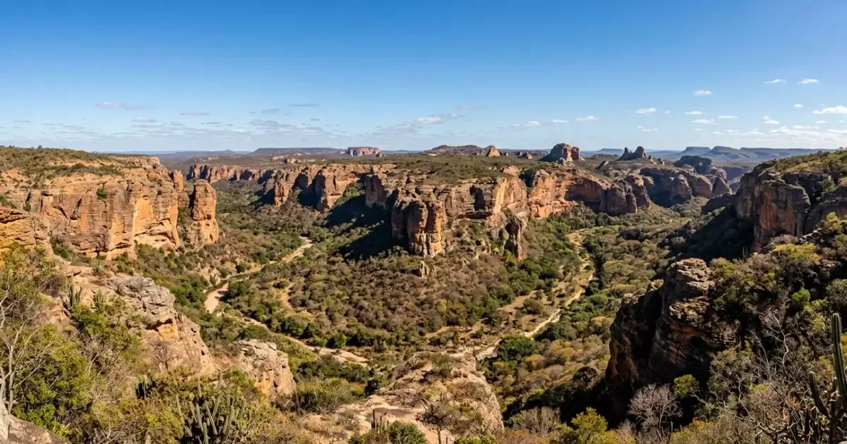 Serra da Capivara preserva pinturas, escavações e memória pré-histórica no Piauí