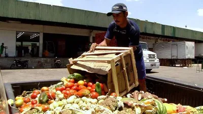 Campanha incentiva aproveitamento de alimentos fora do padrão estético