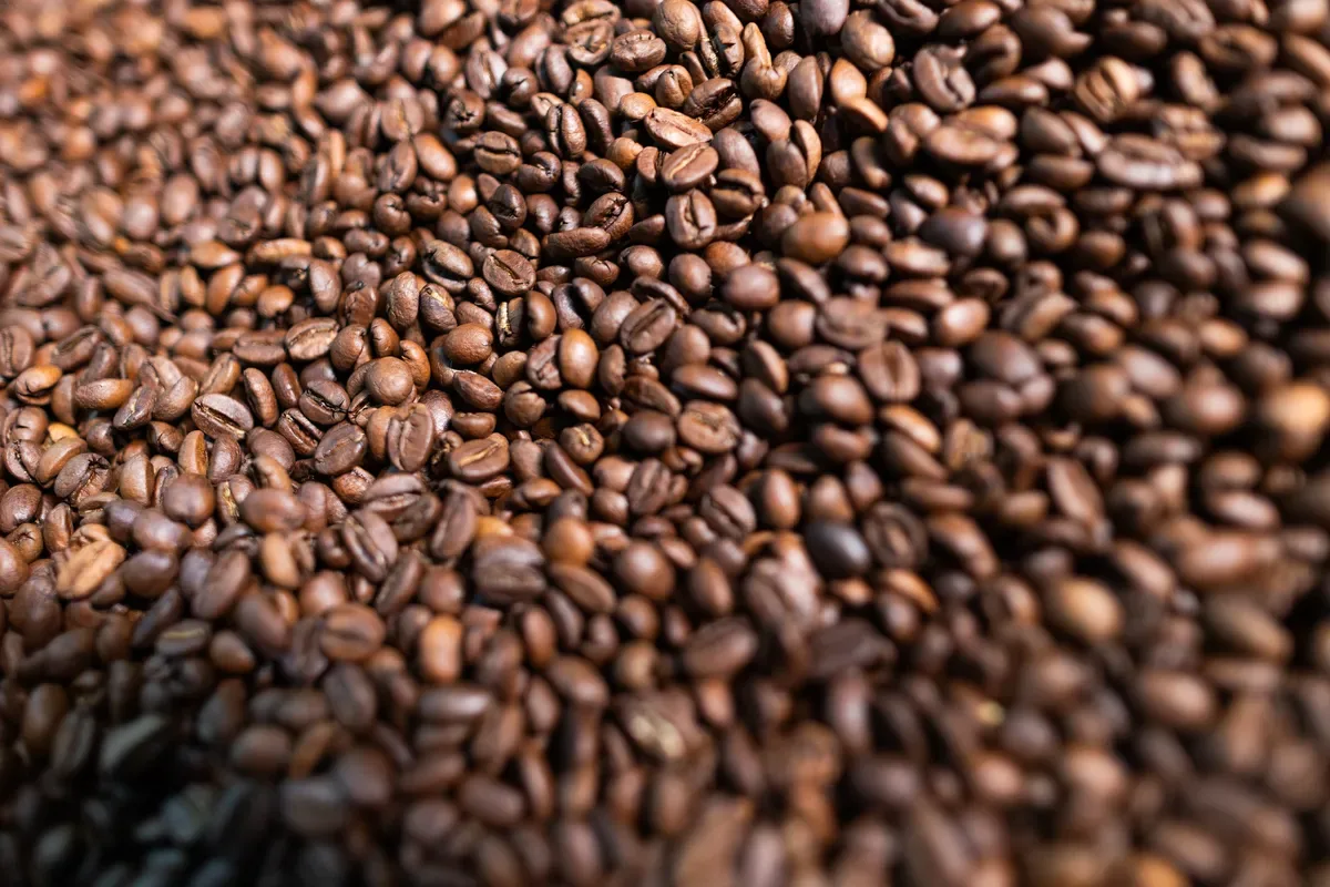 Contratos de café avançam 2,34% em Nova York nesta sexta-feira