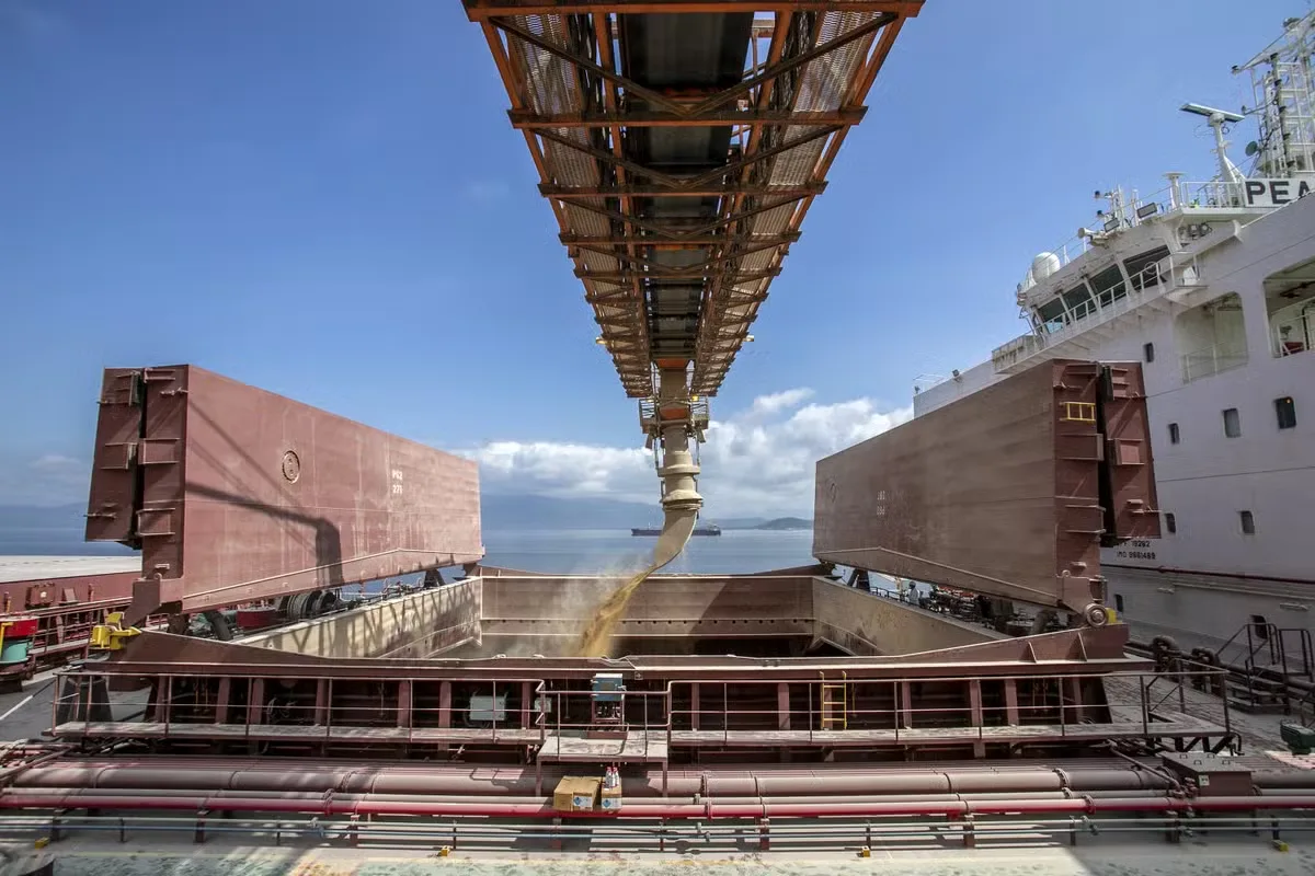 Plataforma brasileira ganha reconhecimento para validar exigências ambientais nas exportações