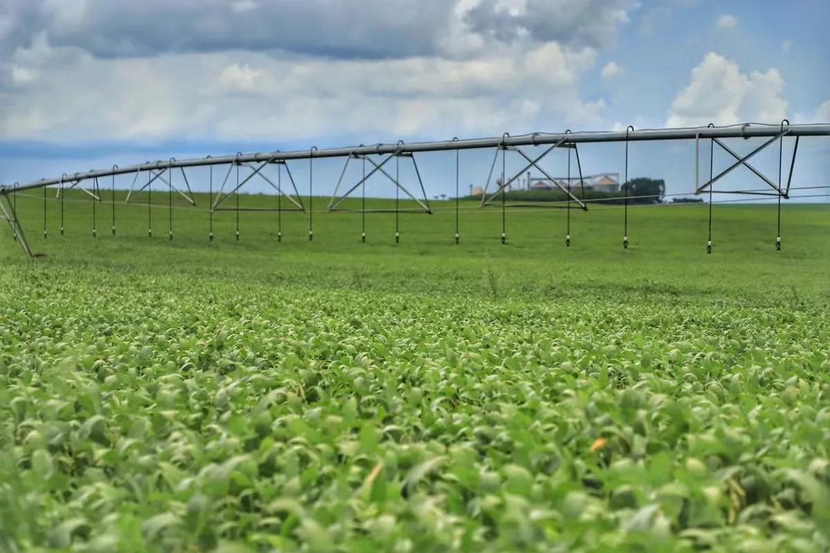Plantio de soja chega a 4,4% da área prevista para 2026/27