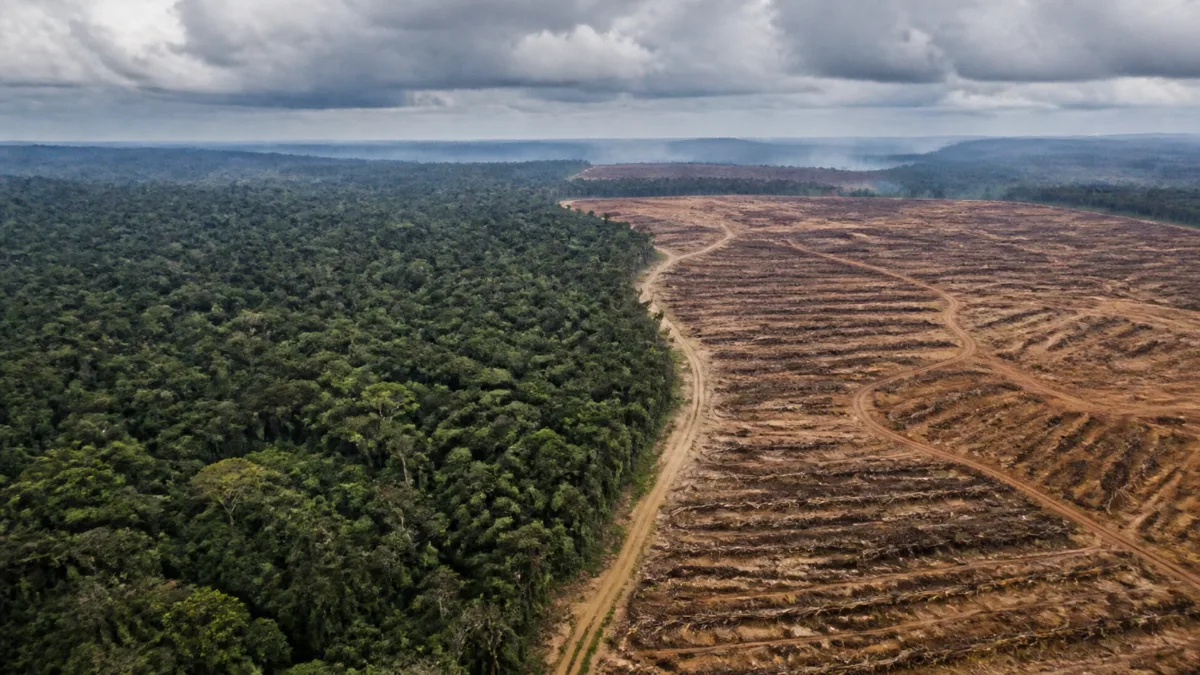 Desmatamento ameaça o sistema de chuvas da Amazônia, dizem cientistas