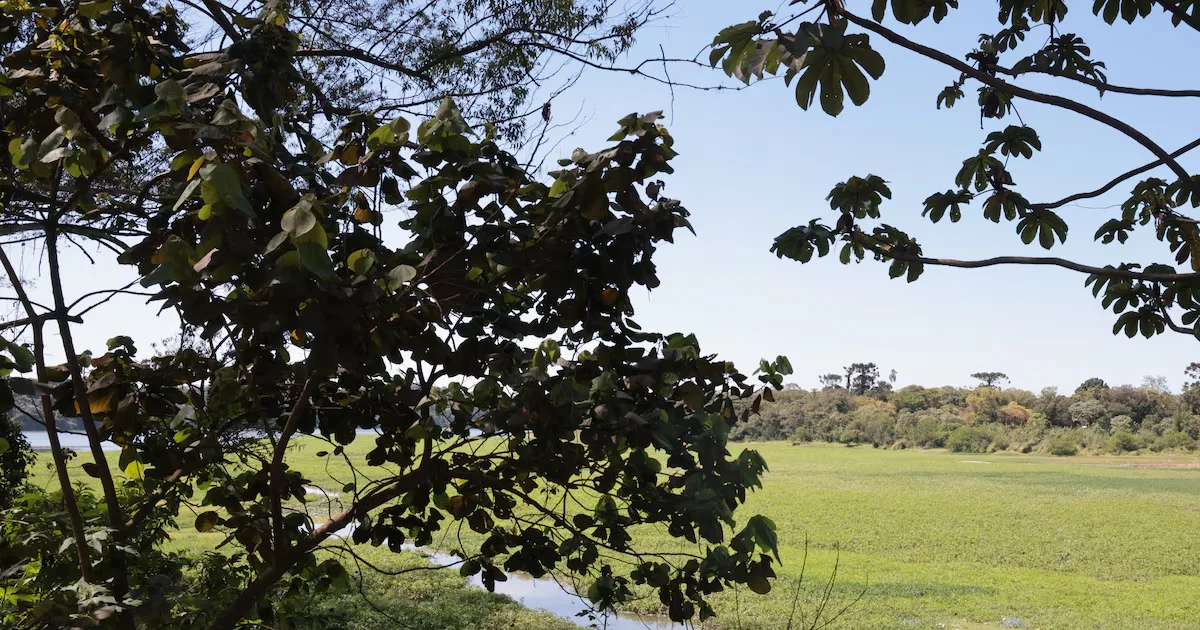 Debate sobre mananciais de SP propõe regularização e novas regras urbanas