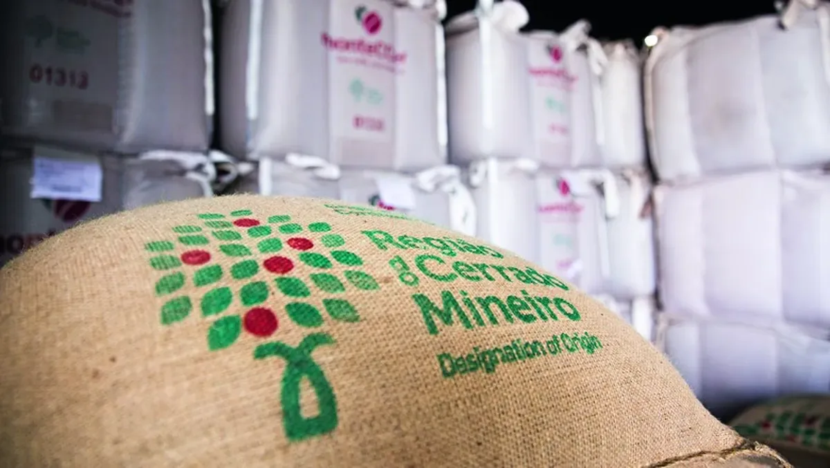 Chuvas levam à pausa na colheita de café do Cerrado Mineiro