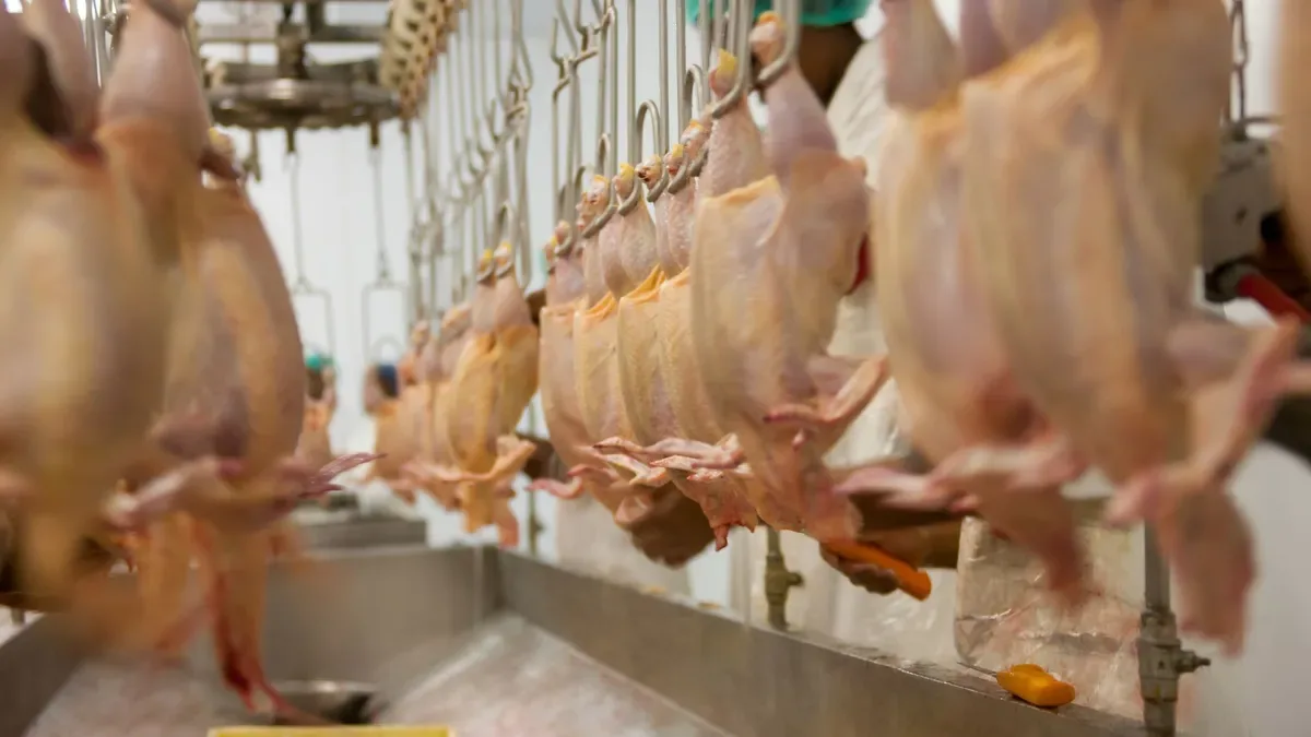 Auditoria da UE aprova controles brasileiros para aves e mel