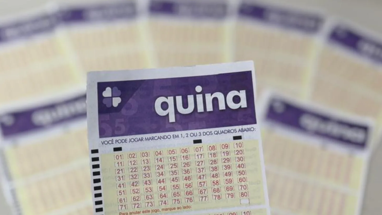 Duas apostas acertam quatro números da Quina e recebem R$ 11.239,65