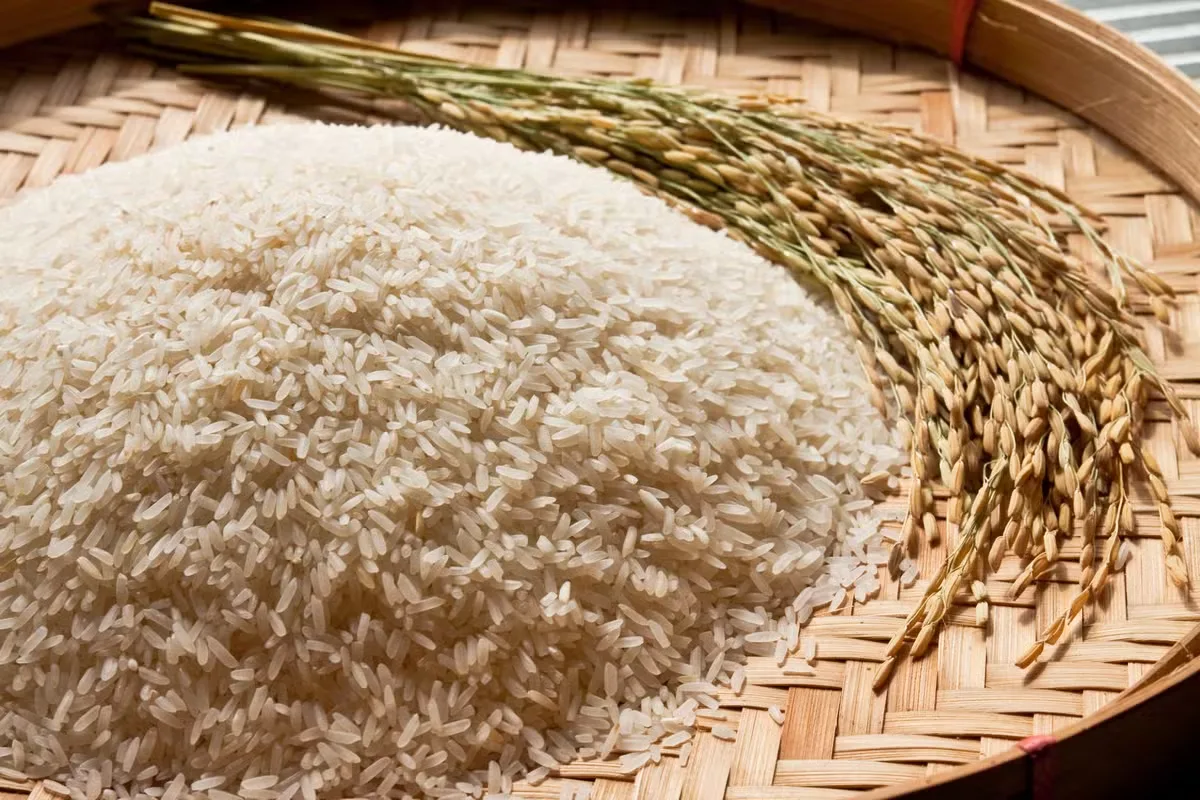 Exportações pressionam mercado e elevam cotação do arroz no Sul