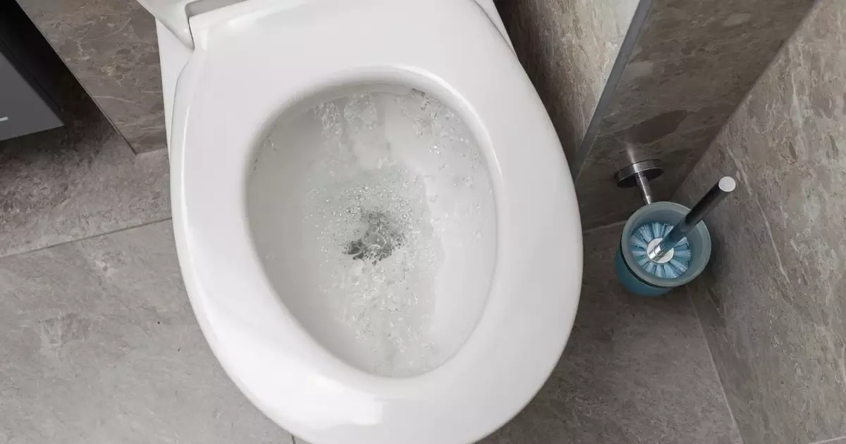 Especialista sugere misturas caseiras para limpar banheiro