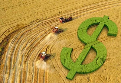 Soja inicia a semana em alta no Brasil com avanço de até R$ 2 por saca