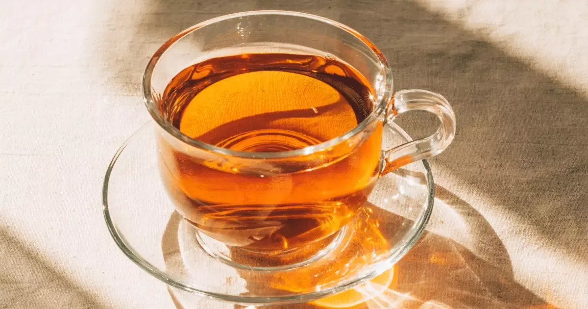 Rooibos: infusão sem cafeína reúne compostos antioxidantes