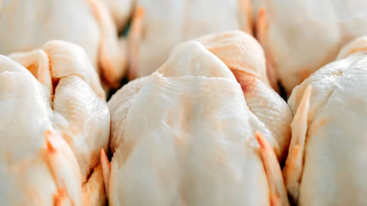 Exportações brasileiras de frango avançam em agosto, aponta ABPA