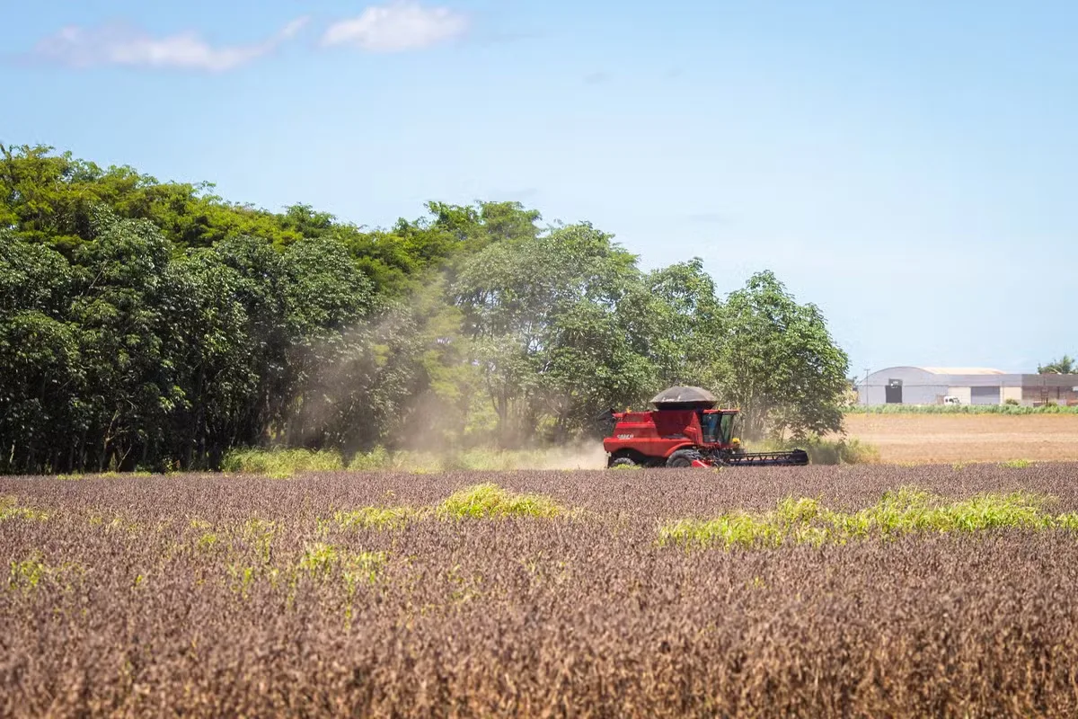 Lei do seguro rural protege subvenção e cria regras para crédito e Fundo Catástrofe