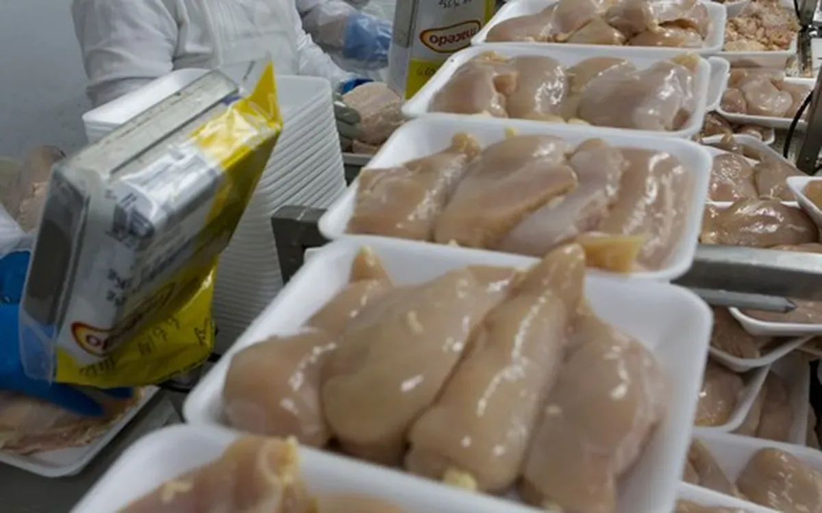 Brasil espera retomar exportações de frango para a União Europeia