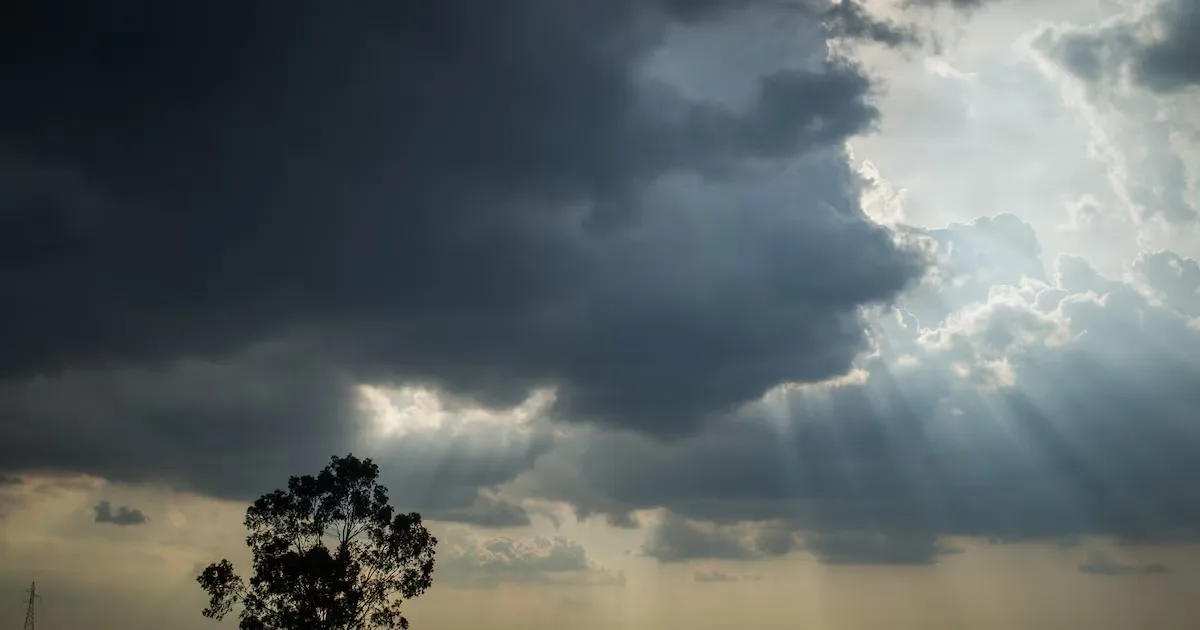 El Niño pode acelerar fusões e aquisições no agronegócio, diz Deloitte