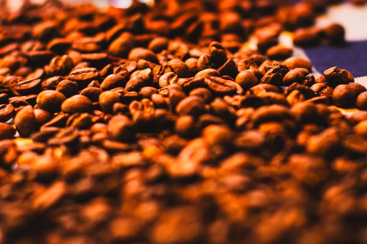 Café, cacau, açúcar e algodão recuam; suco de laranja sobe