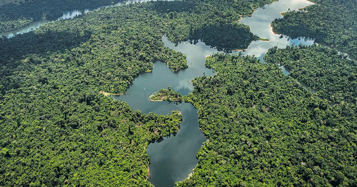 Economia verde avança, mas segue marcada por diferenças entre setores e regiões
