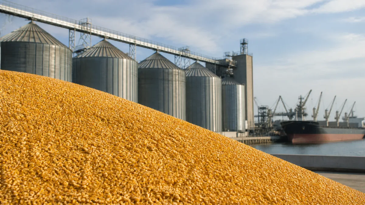 USDA projeta mais soja e menos milho nos Estados Unidos em 2026/27