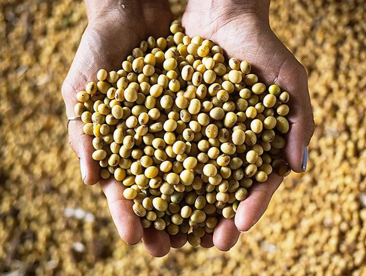 Agro brasileiro enfrenta pressão fiscal, climática e de mercado