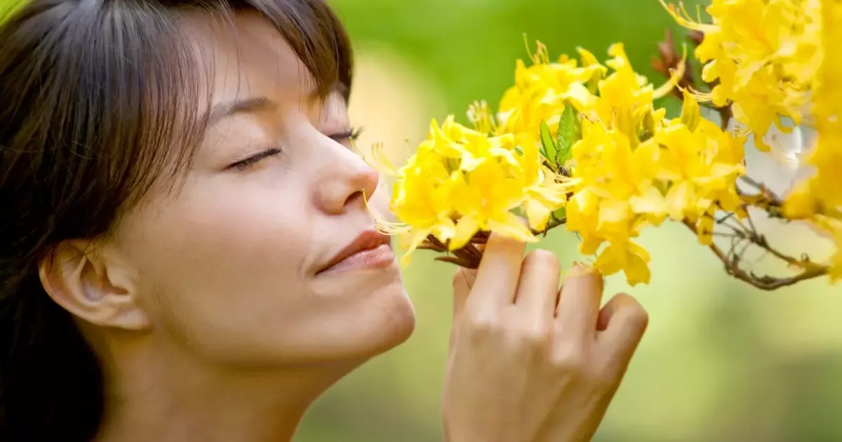 Cheiros de plantas podem acessar memórias e ajudar a regular emoções