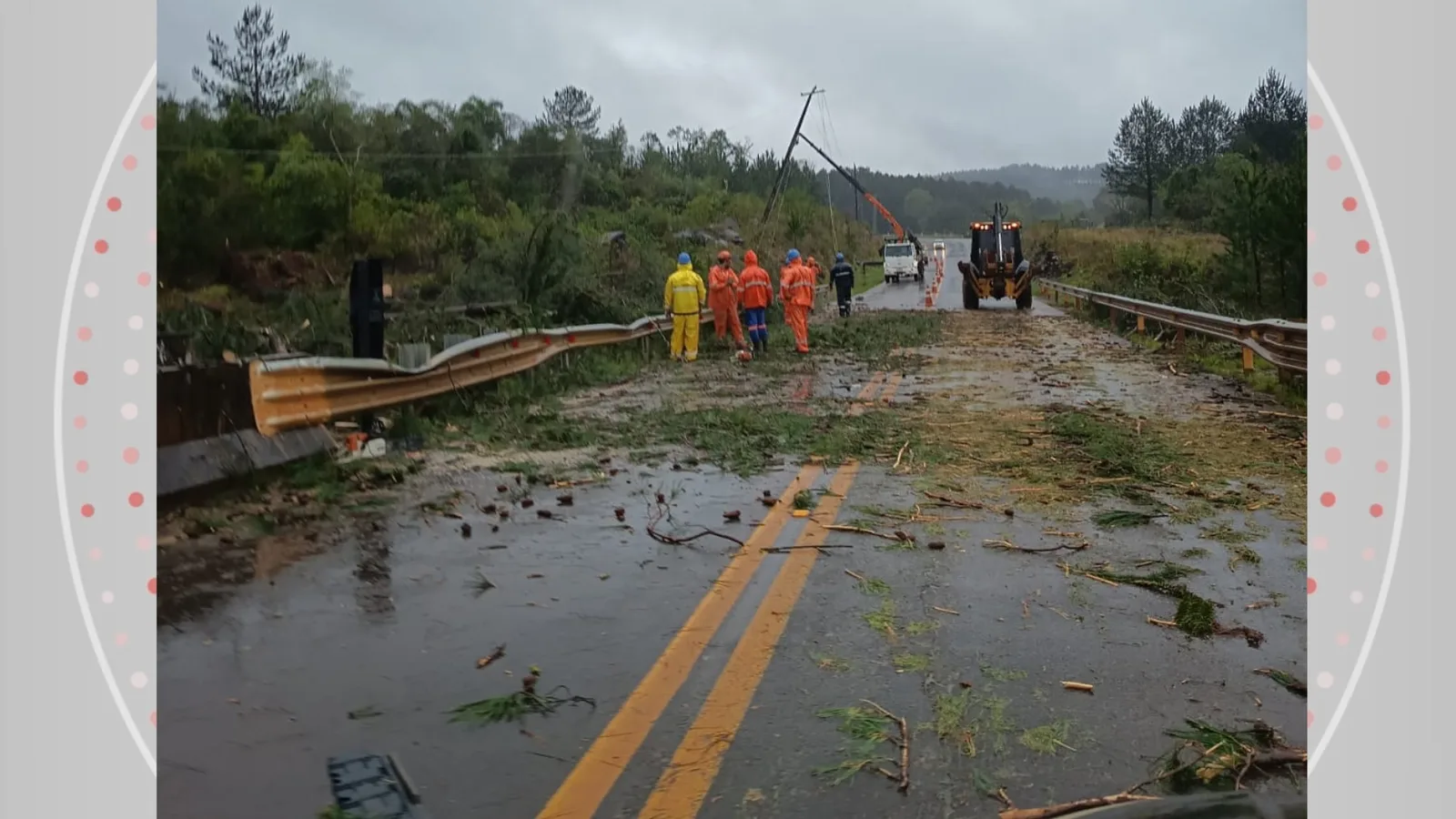Tempestade derruba árvore sobre caminhonete em rodovia no Paraná