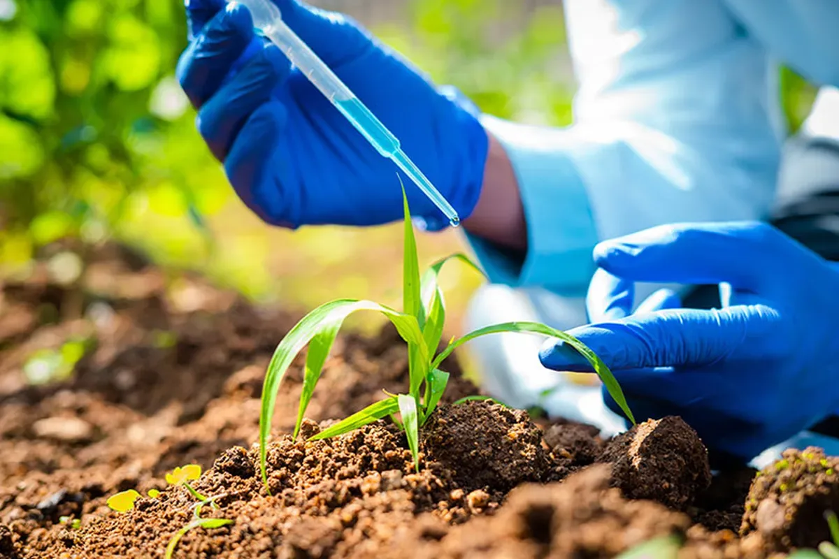 Mercado de bioinsumos movimenta R$ 1,82 bilhão no primeiro semestre