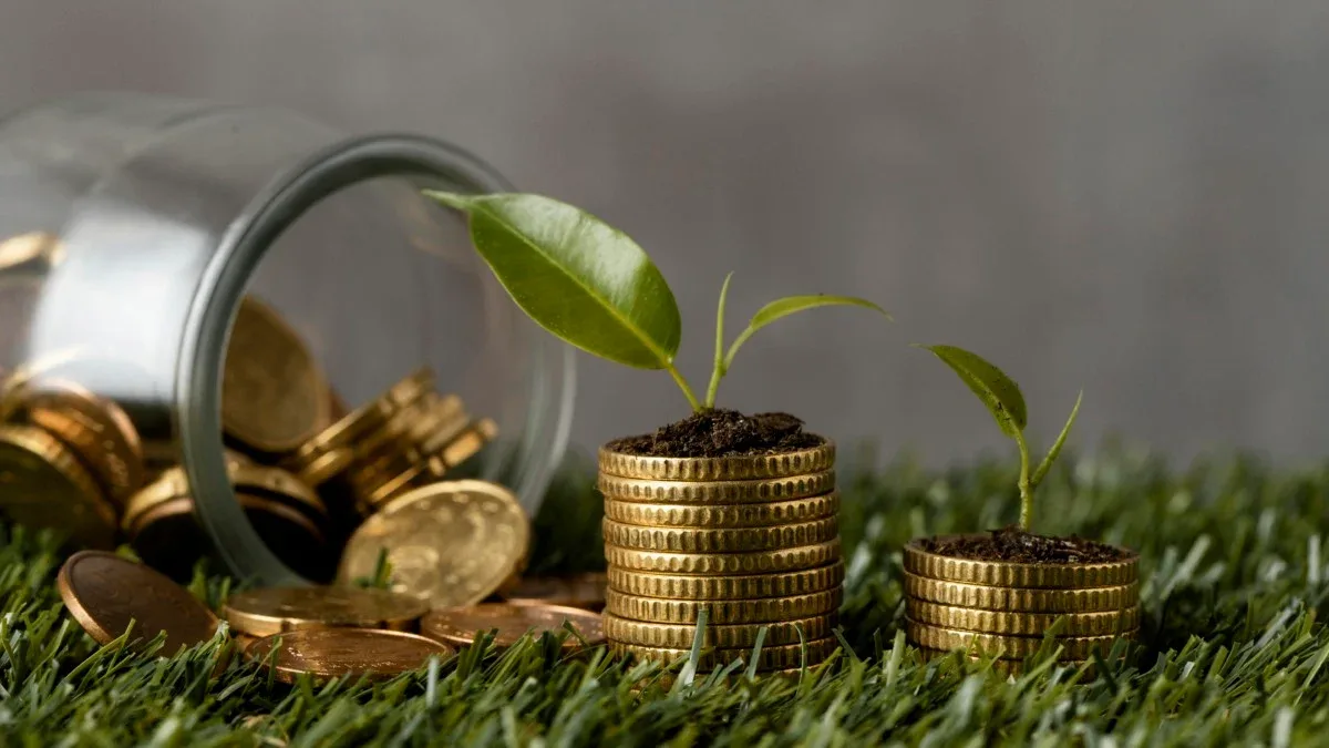 Crédito rural exige atenção a contratos, seguros e prazos de pagamento