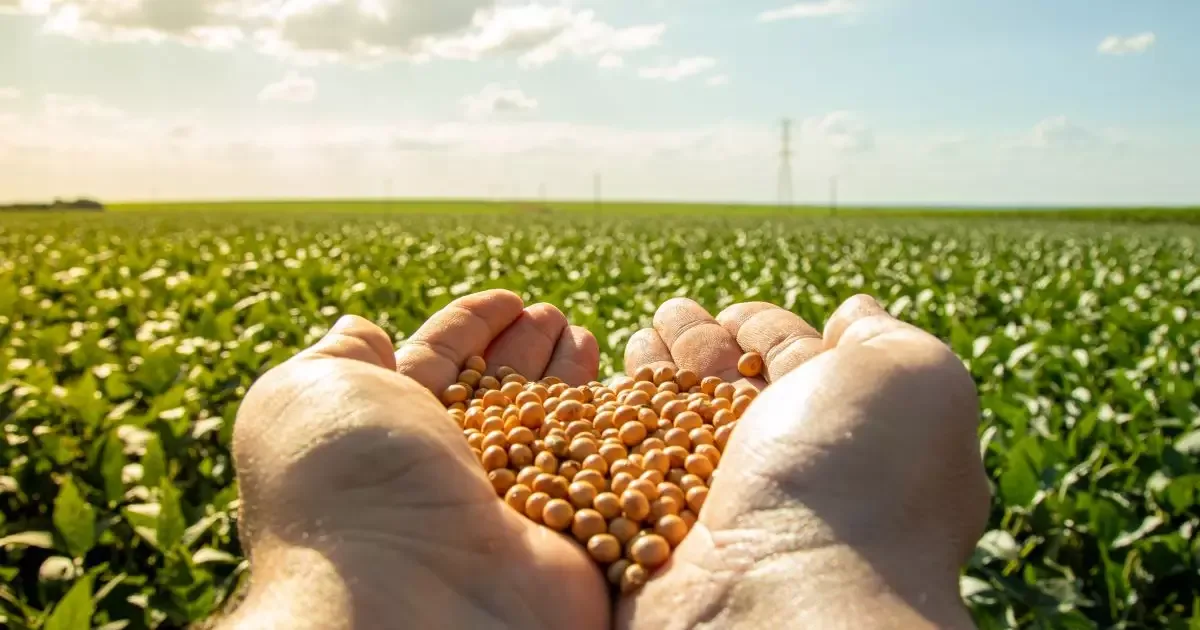 Endividamento de agricultores gaúchos chega a R$ 8,5 bilhões no Pronaf
