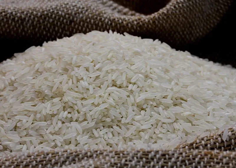 Exportação e mercado interno elevam disputa pelo arroz no Rio Grande do Sul