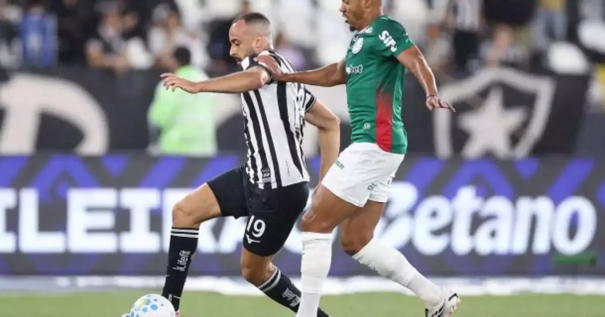 Botafogo tenta reagir após queda para perto da zona de rebaixamento