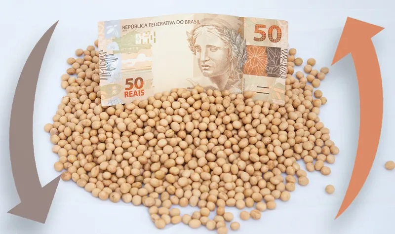 Soja sobe até R$ 1 por saca, mas negociações seguem paradas no Brasil
