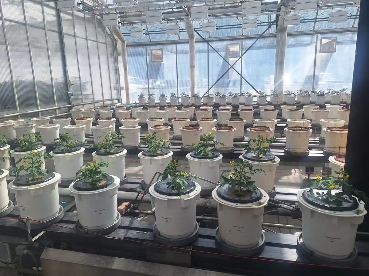 Yara amplia pesquisa em biofertilizantes e mantém aquisições no radar