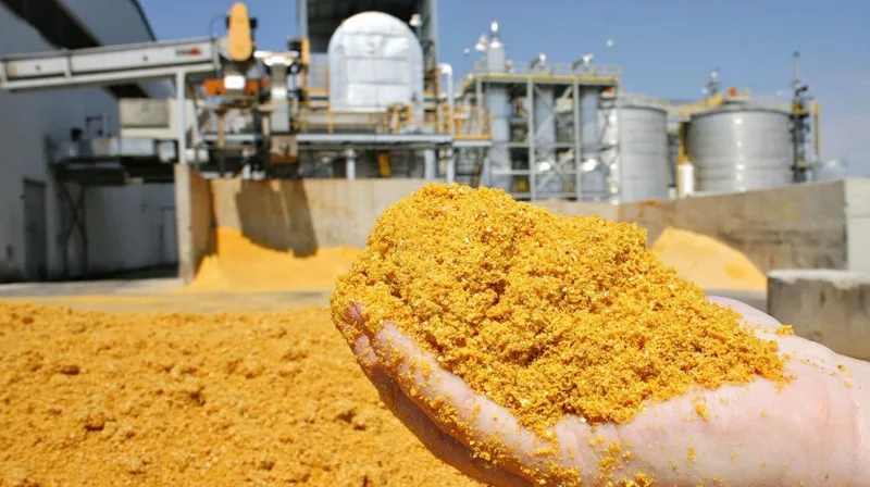 DDG brasileiro pode ultrapassar 15 milhões de toneladas até 2030