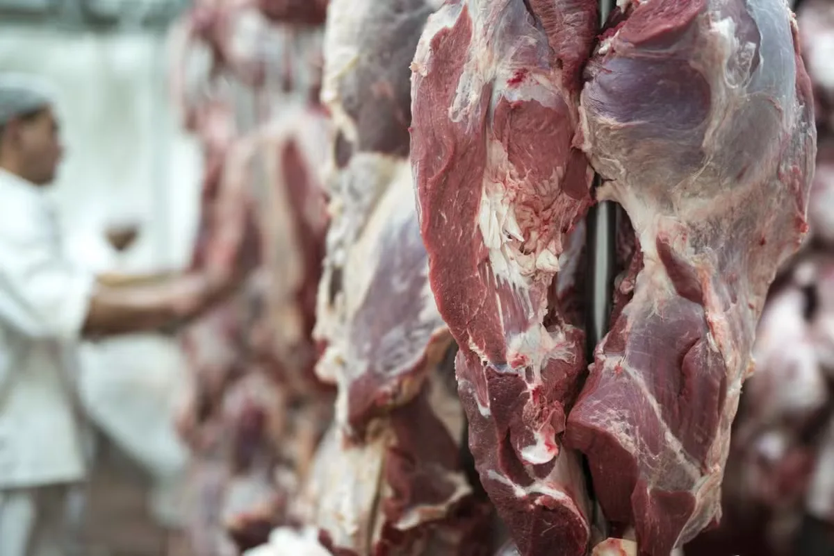 Paraguai avalia ampliar exportações de carne bovina para os Estados Unidos