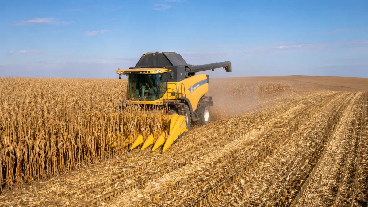 Colheita de milho nos Estados Unidos alcança 18% da safra, informa USDA